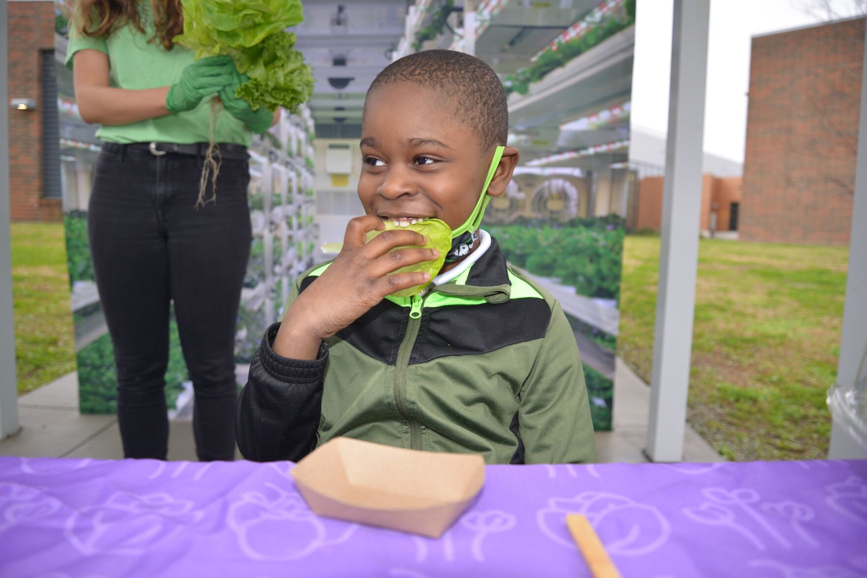 Vertical Roots lettuce testing